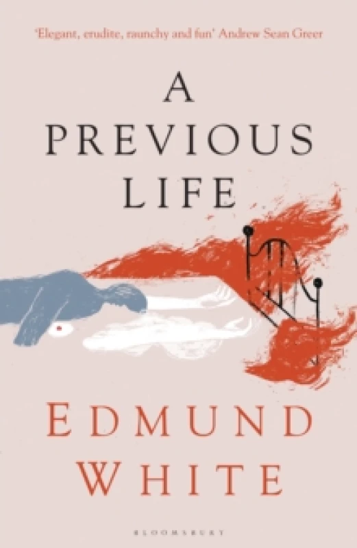 Image of A Previous Life : Another Posthumous Novel Paperback / softback