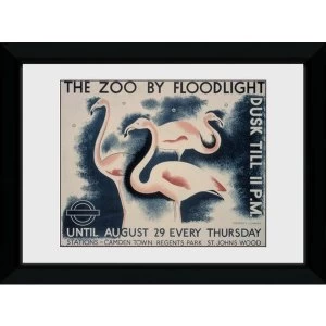 Image of Transport For London The Zoo By Floodlight 50 x 70 Framed Collector Print