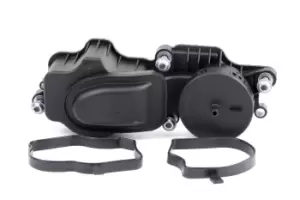 Image of RIDEX Valve, engine block breather BMW 3886V0008 11127794597