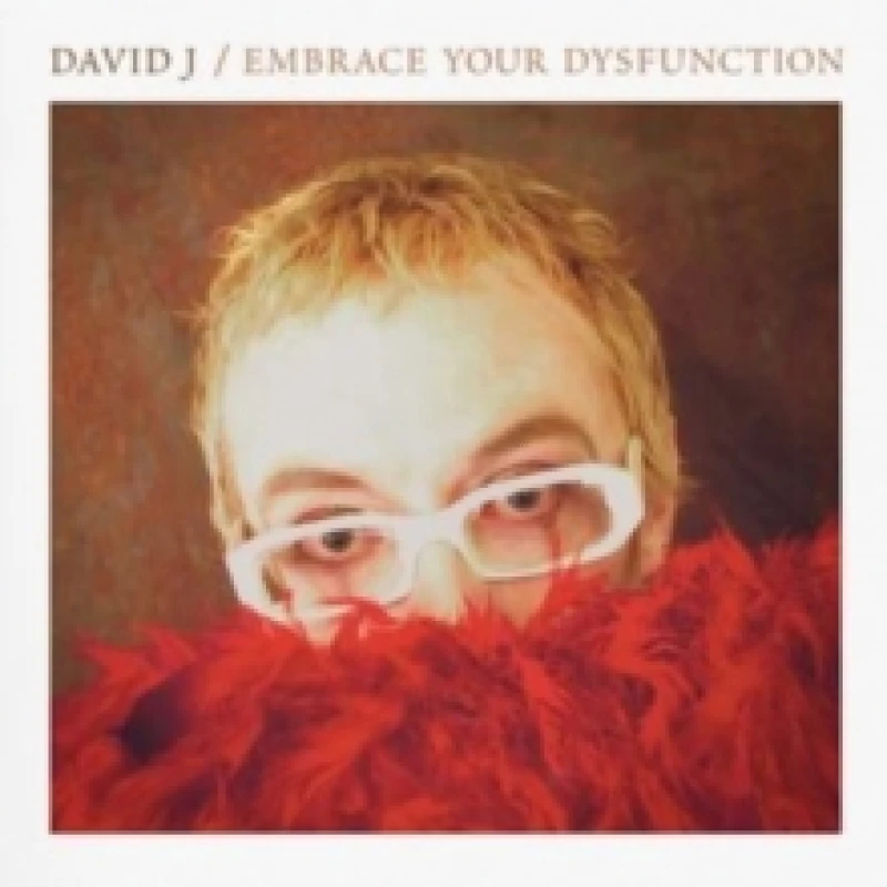 Image of Embrace Your Dysfunction Vinyl