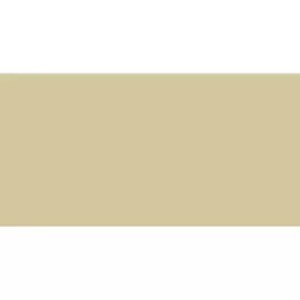 Image of Skeleton Bone