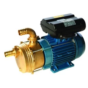 Image of Wickes Transfer Pump for Clean Liquids 1in