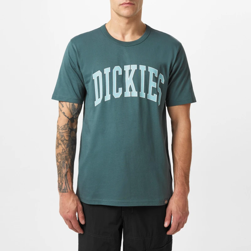 Image of Dickies Aitkin T-Shirt Grn/Srf Bl male Medium