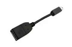 Image of PNY miniDP to DP 96mm adapter - Adapter - Digital/Display/Video