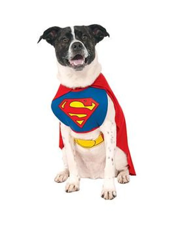 Image of Superman Pet Fancy Dress - Large Blue WO9ET Unisex