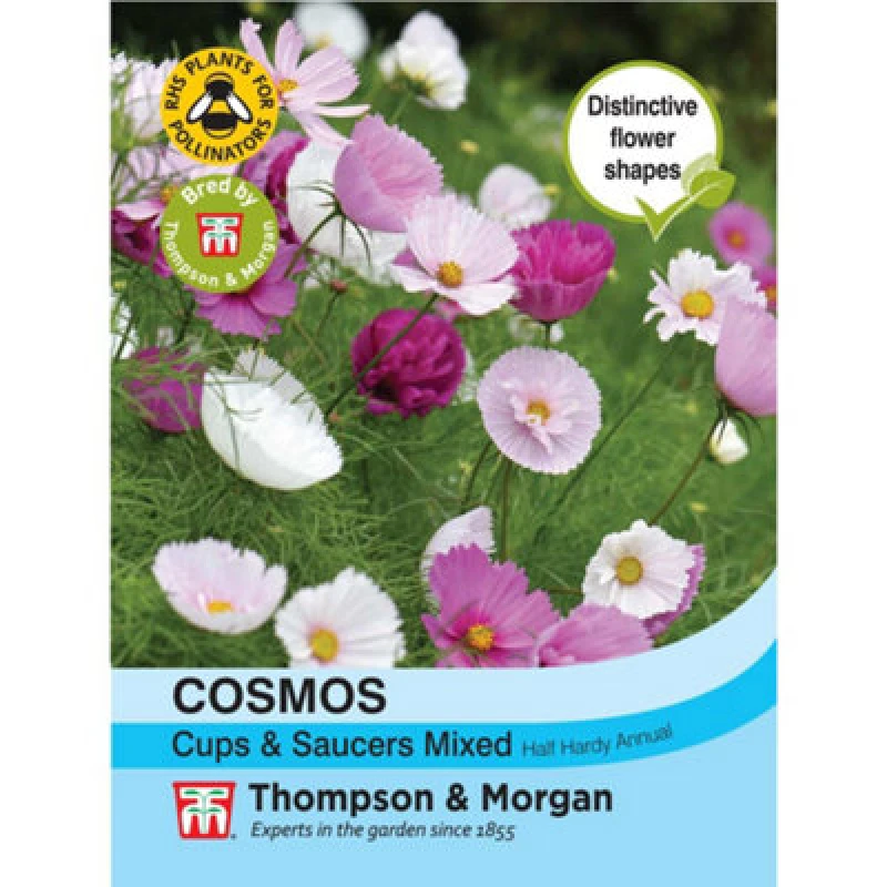 Image of THOMPSON & MORGAN Thompson&morgan - Cosmos bipinnatus Cups & Saucers Mixed 1 Seed Packet (50 Seeds) KA9984