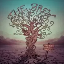 Image of Shake the Tree