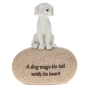 Image of Angel Stones Dog