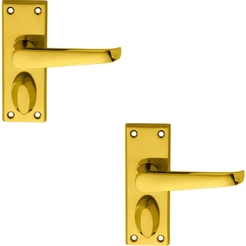 Image of Loops 2x PAIR Straight Handle on Short Privacy Backplate 118 x 42mm Polished Brass Metallics