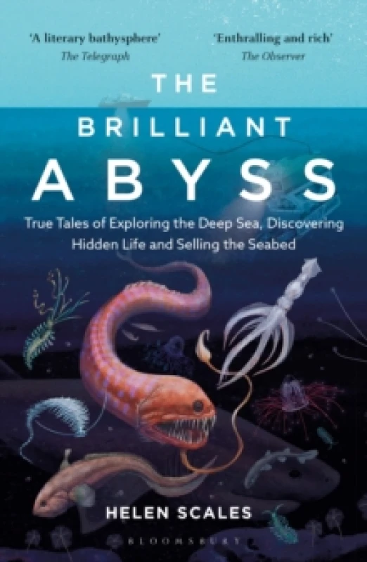 Image of The Brilliant Abyss : True Tales of Exploring the Deep Sea, Discovering Hidden Life and Selling the Seabed Paperback / softback