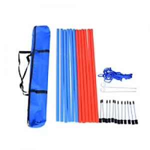 Image of PawHut Pet Agility Set 12x Steel Stakes, 2x Spikes, 1x String. Blue, Red