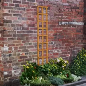 Image of Heavy Duty Trellis - 30cm - Pack of 10