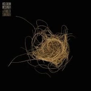 Image of Hiss Golden Messenger - Cat's Eye Blue Vinyl