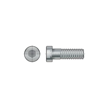 Image of M20X60 Skt Low Head Cap Screw (GR-8.8) - Qualfast