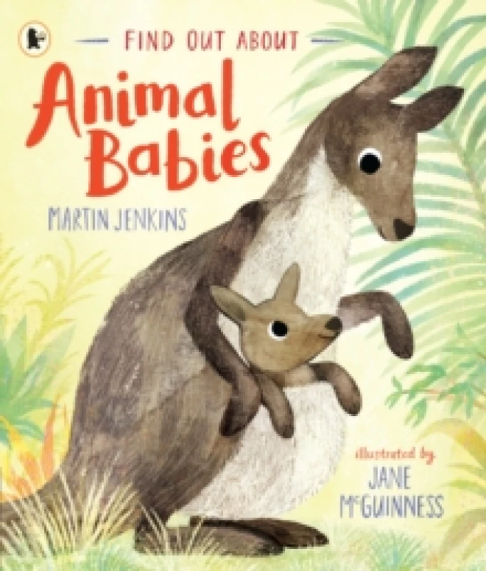 Image of Martin Jenkins Find Out About ... Animal Babies Book Multi unisex
