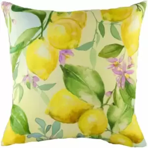 Image of Evans Lichfield - Fruit Lemons Watercolour Print Cushion Cover, Multi, 43 x 43 Cm