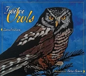 Image of twelve owls