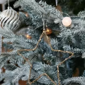 Image of I Saw It First House Doctor Sequin Large Hanging Star Ornament - Metallics