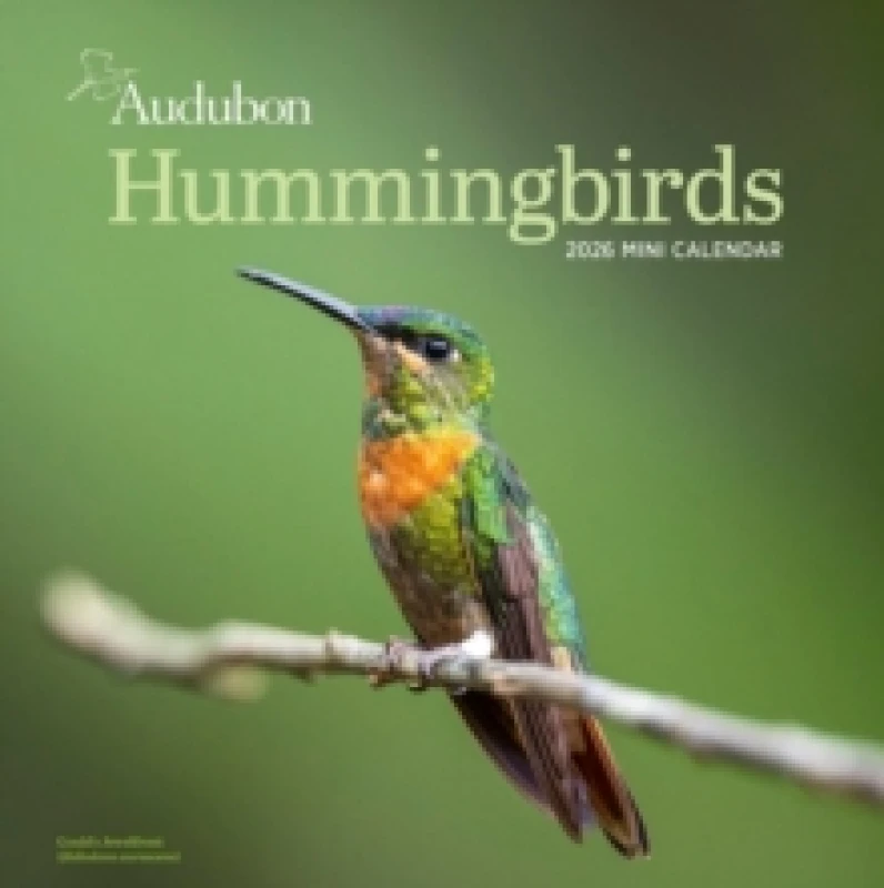 Image of Audubon Hummingbirds Mini Wall Calendar 2026 Calendar