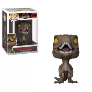 Image of Jurassic Park Velociraptor Pop! Vinyl Figure
