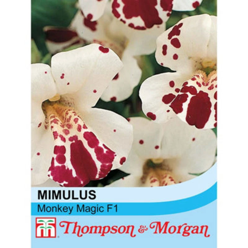 Image of Thompson & Morgan Mimulus Monkey Magic F1 Hybrid 1 Seed Packet (40 Seeds)