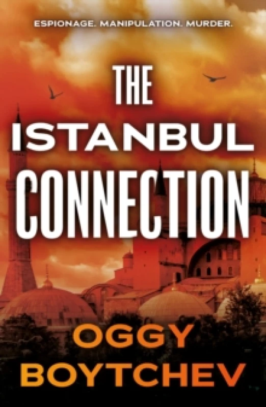 Image of The Istanbul Connection Paperback / softback