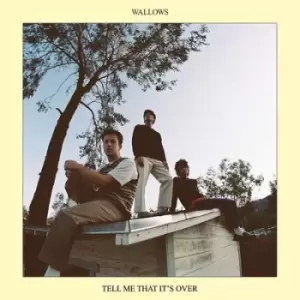 Image of Tell Me That Its Over by Wallows CD Album