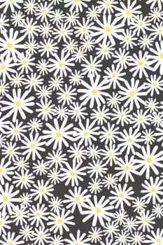 Image of 'Daisy' Wallpaper
