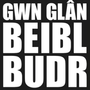 Image of Gwn Glan Beibl Budr by Lleuwen CD Album