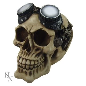 Image of Goggles Skull