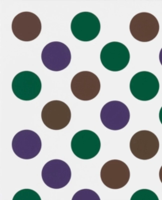 Image of Bridget Riley: Past into Present Hardback