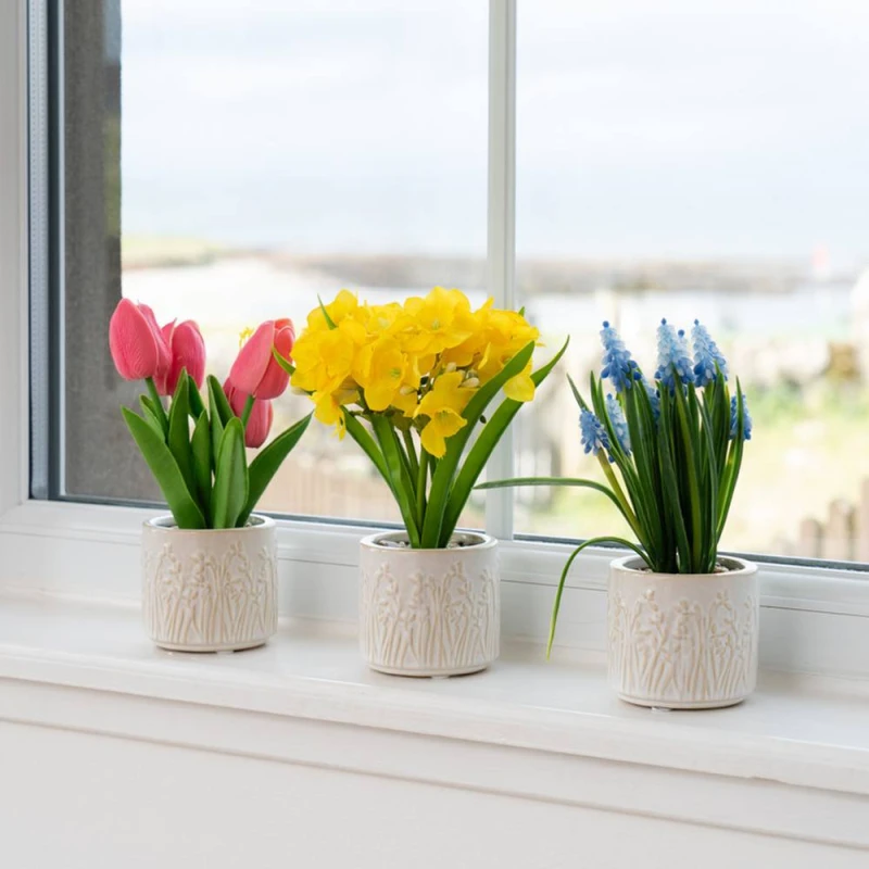 Image of Scottish Everlastings Ltd Set of 3 Spring Pots Multicolor Unisex