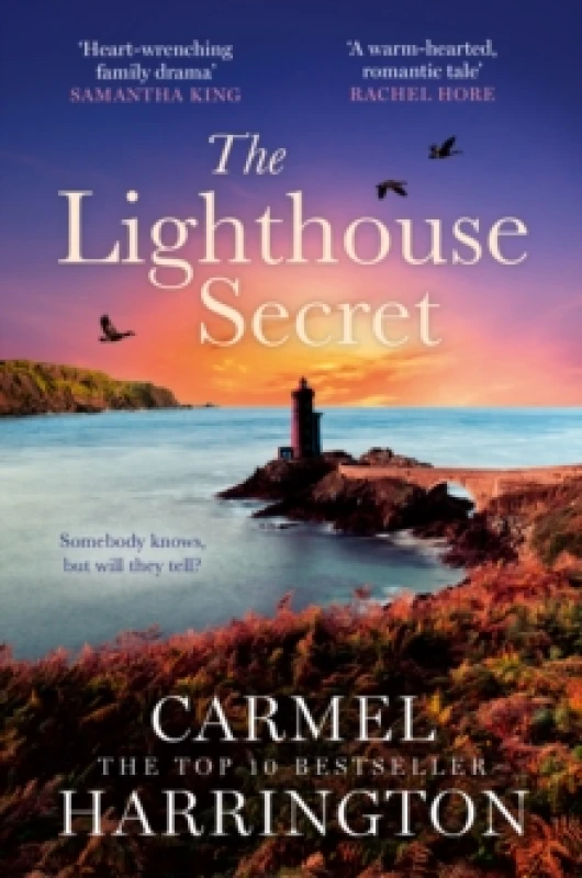 Image of The Lighthouse Secret Paperback / softback