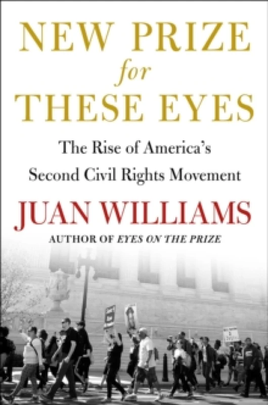 Image of New Prize for These Eyes : The Rise of America's Second Civil Rights Movement Hardback