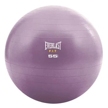 Image of Everlast Stability Ball - Purple