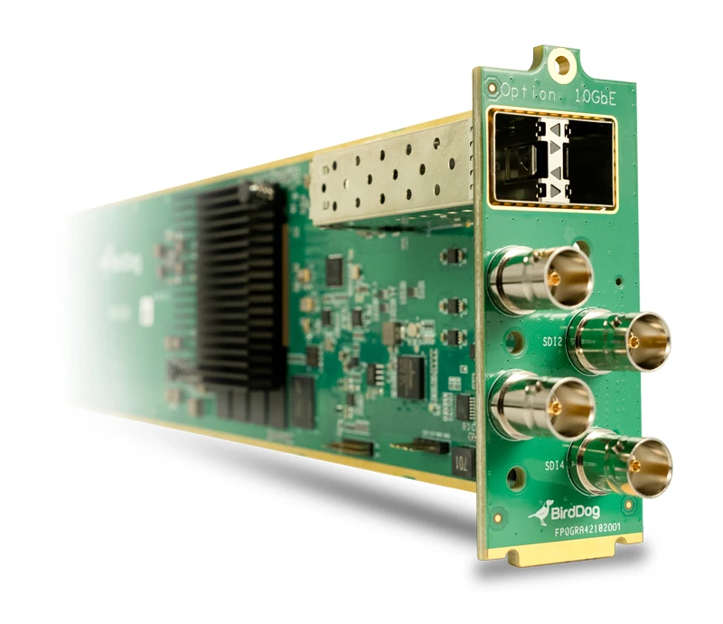 Image of BirdDog OG4 video servers/encoder 3840 x 2160 pixels