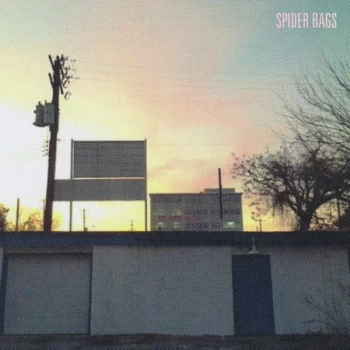 Image of Spider Bags - Someday Everything Will Be Fine Vinyl