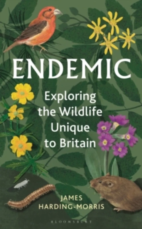 Image of Endemic : Exploring the wildlife unique to Britain Hardback