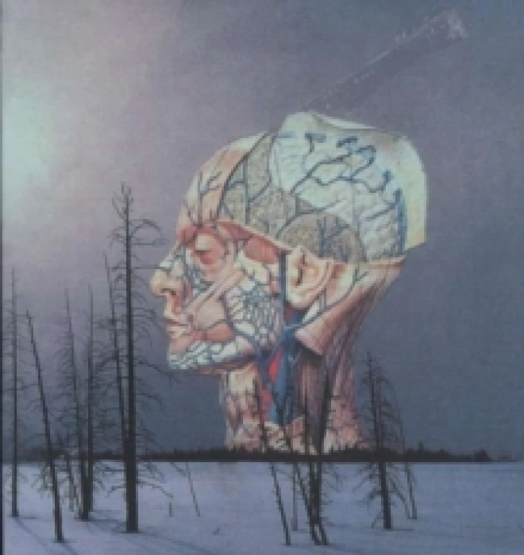 Image of Songs for a Dead Pilot Vinyl