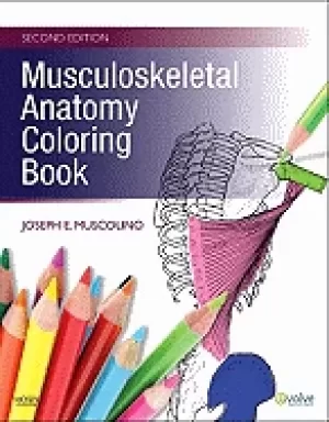 Image of musculoskeletal anatomy coloring book