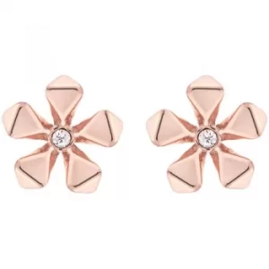 Image of Ladies Karen Millen Rose Gold Plated Petite Geo Flower Stud Earring
