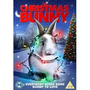 Image of Christmas Bunny