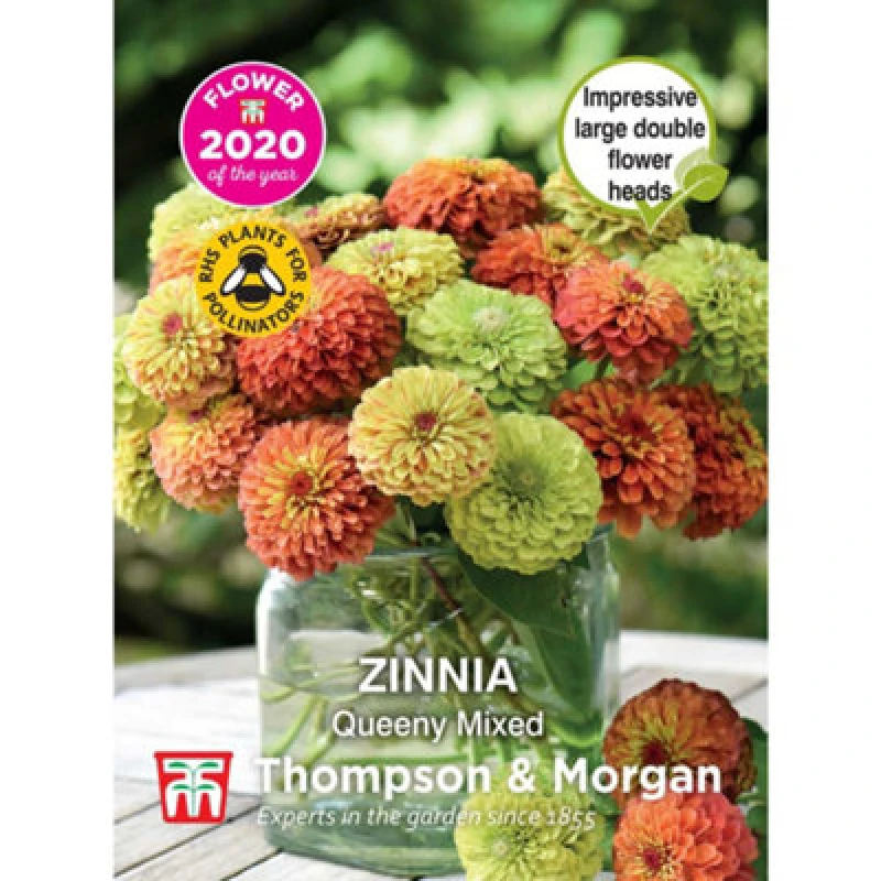 Image of Thompson & Morgan Zinnia Elegans Queeny Mixed Foty 1 Packet (15 Seeds)