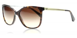 Image of Emporio Armani EA4025 Sunglasses
