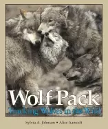 Image of wolf pack tracking wolves in the wild
