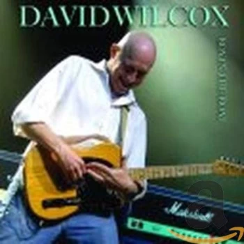 Image of David Wilcox - Boy In The Boat CD
