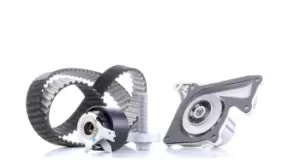 Image of DAYCO Water Pump + Timing Belt Kit MERCEDES-BENZ,RENAULT,NISSAN KTBWP8860 119A07049R,119A07049R