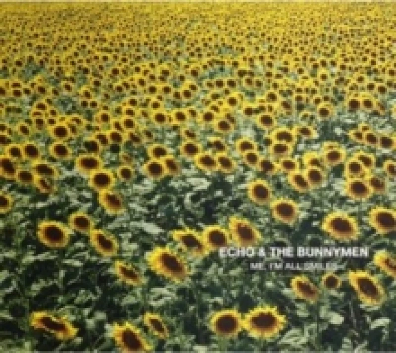 Image of Me, I'm All Smiles CD / Album (Jewel Case)