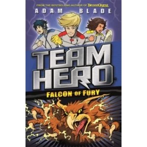 Image of Team Hero: Falcon of Fury : Series 2, Book 3