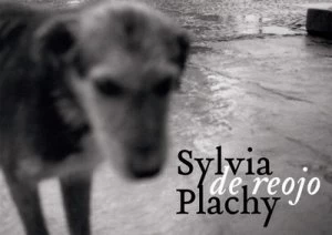 Image of Out of the Corner of My Eye by Sylvia Plachy Hardback